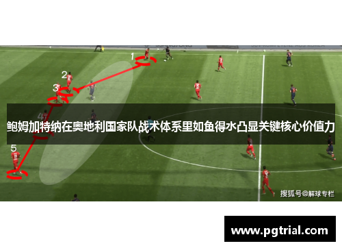 鲍姆加特纳在奥地利国家队战术体系里如鱼得水凸显关键核心价值力 鲍姆加特纳在奥地利国家队战术体系里如鱼得水凸显关键核心价值力
